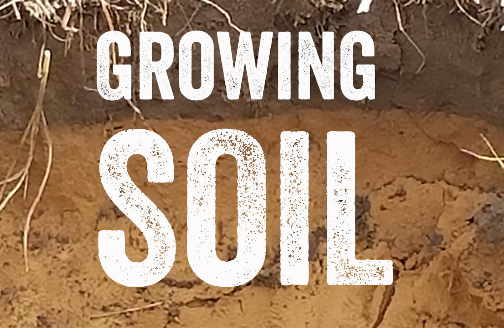 Growing Soil blog title image of Carbon line in the soil on Joyce Farms regenerative farm