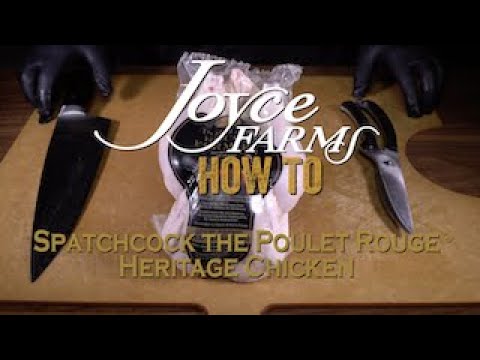 Step-by-step guide video on spatchcocking a Joyce Farms Poulet Rouge® Heritage Chicken. The video shows the removal of the backbone and giblet pouch, using kitchen shears to cut alongside the spine, and scoring the keel bone to flatten the chicken for cooking. It teases a follow-up video on further butchering into eight pieces, emphasizing the high-quality standards of the pasture-raised, antibiotic-free chicken with a GAP Step 4 certification.