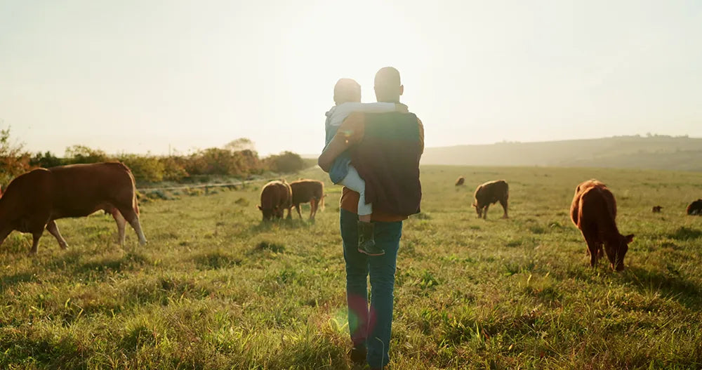 The Cattle Crisis: Why Small Family Farms Are More Important Than Ever