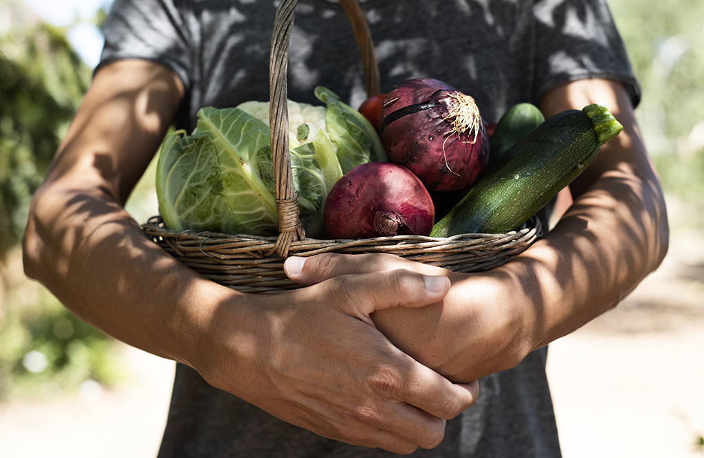 Person holding basket of fresh produce