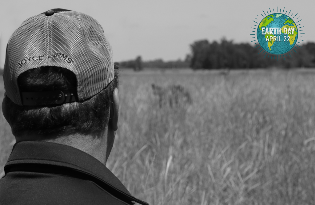 Man looking at pasture of cattle. Graphic icon of Earth with "Earth Day April 22"