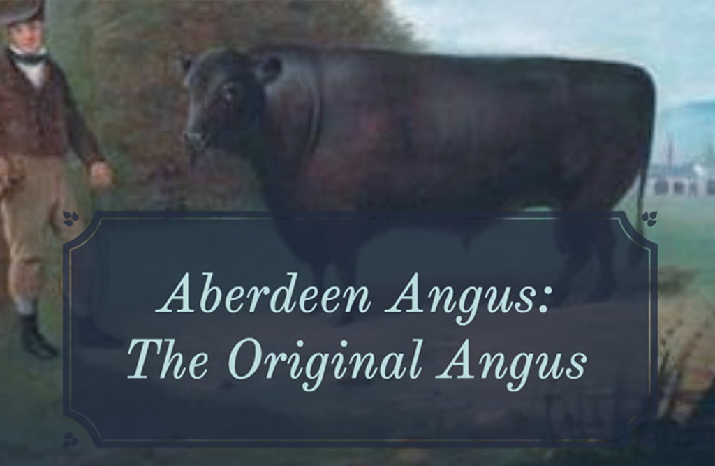 Our Beef is Aberdeen Angus – So What?