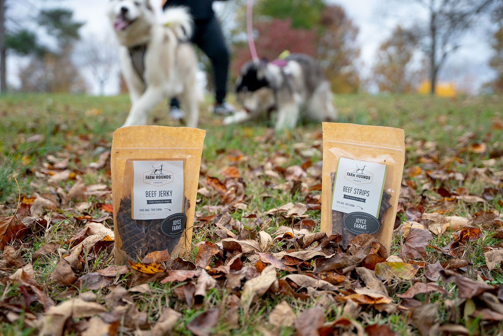 The Benefits of Natural Dog Treats Joyce Farms Blog