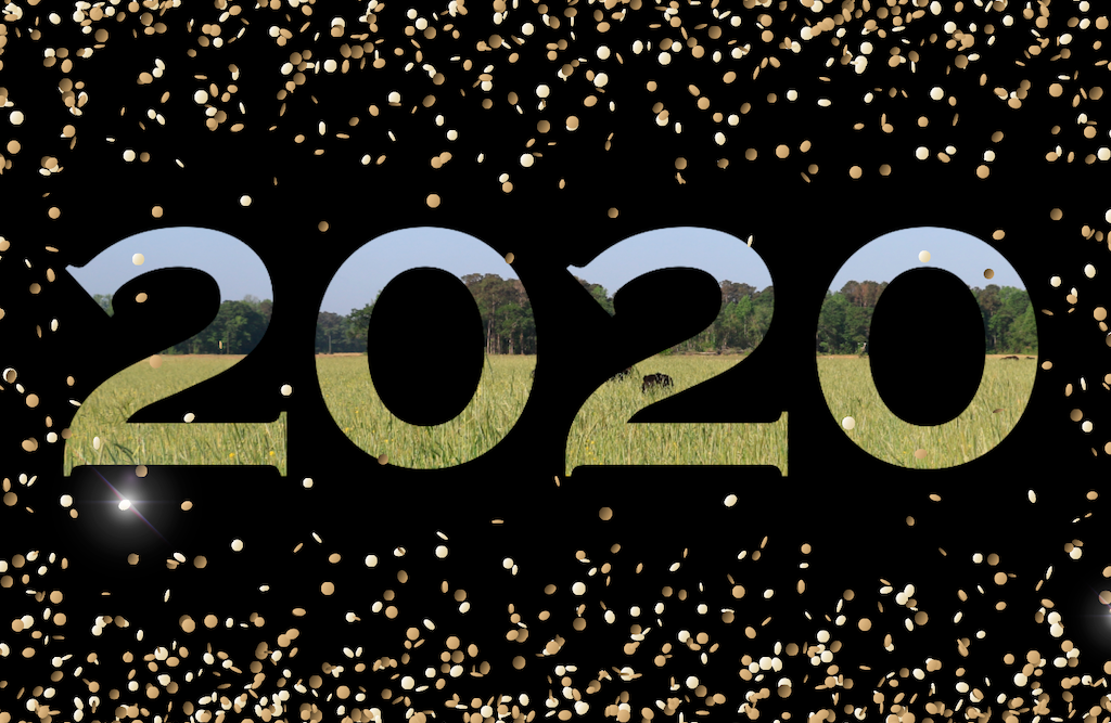 4 Ways to Support Regenerative Agriculture with your New Year's Resolution