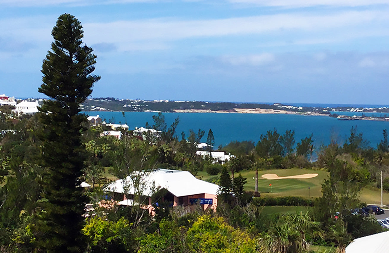 Heritage Beef Knocks Their Bermuda Socks Off!