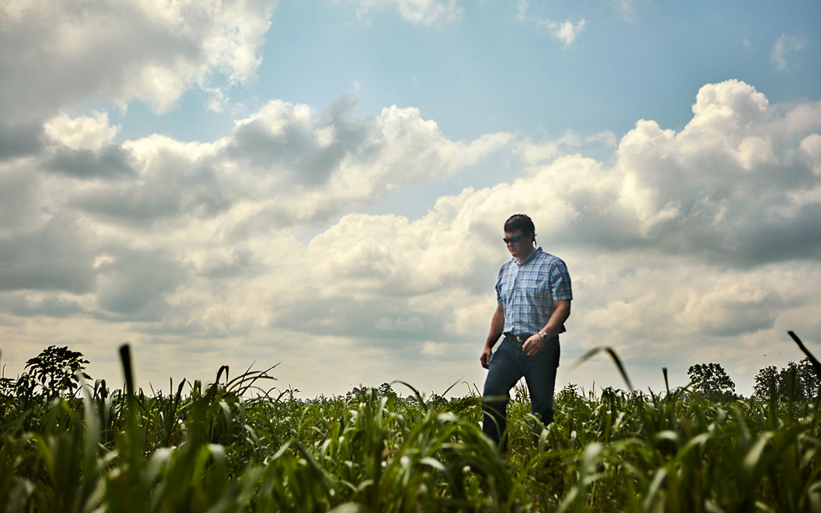 A farmer walking through a verdant, green field under a partly cloudy sky, representing Joyce Farms' dedication to hands-on, regenerative agricultural practices on their heritage beef farm that raises Aberdeen Angus cattle.