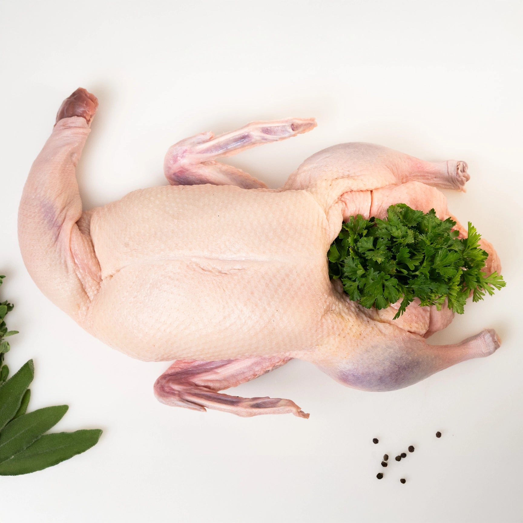 A raw, antibiotic-free Joyce Farms Naked Duck, prepared with parsley inside the cavity, on a white cutting board with peppercorns and sage and thyme on the side, ready for cooking.