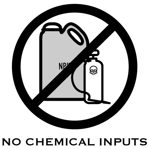 Icon of a gray container labeled 'NPK' with a black diagonal line crossing over it, symbolizing regenerative agriculture principle #3: avoidance of chemical inputs