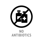 No Antibiotics Symbol