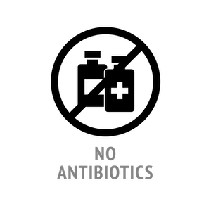 No Antibiotics Symbol