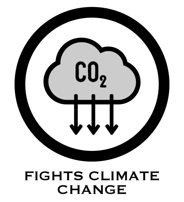 Icon of a gray cloud with 'CO2' written inside and downward arrows, symbolizing the reduction of carbon dioxide emissions as an outcome of regenerative agriculture.