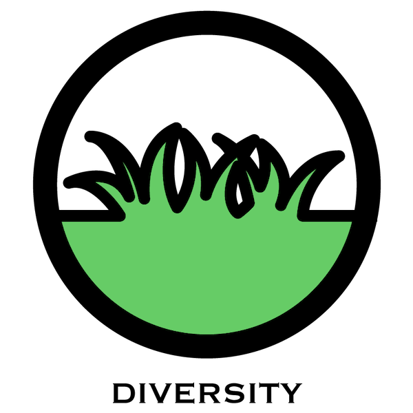 Icon of green grass, representing the 4th regenerative agriculture principle: biodiversity