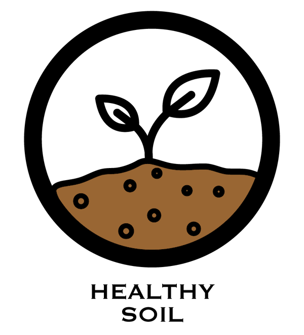 Icon of brown soil with small black dots, representing the creation of healthy, nutrient-rich soil through regenerative agriculture.