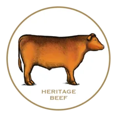 Woodcut illustration of Joyce Farms Aberdeen Angus heritage steer used for their 100% grass-fed, grass-finished Heritage Beef program