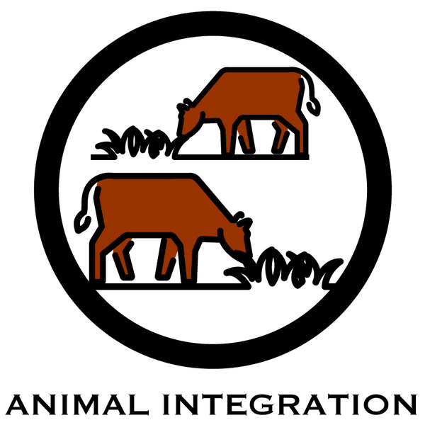 Icon of two brown cattle grazing, symbolizing regenerative agriculture principle #5: integration of livestock