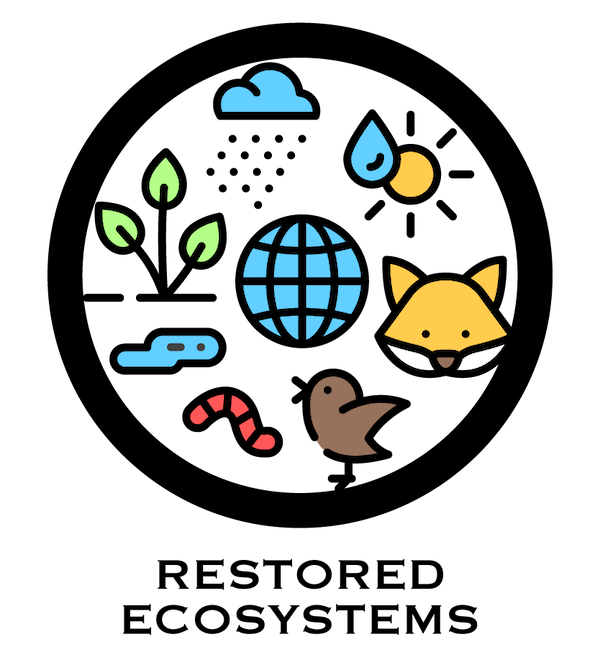 Icon featuring various elements such as a blue globe, green leaves, a yellow sun, a blue water droplet, and animals like a fox, bird, snake, and worm, representing the restoration of ecosystems through regenerative agriculture.