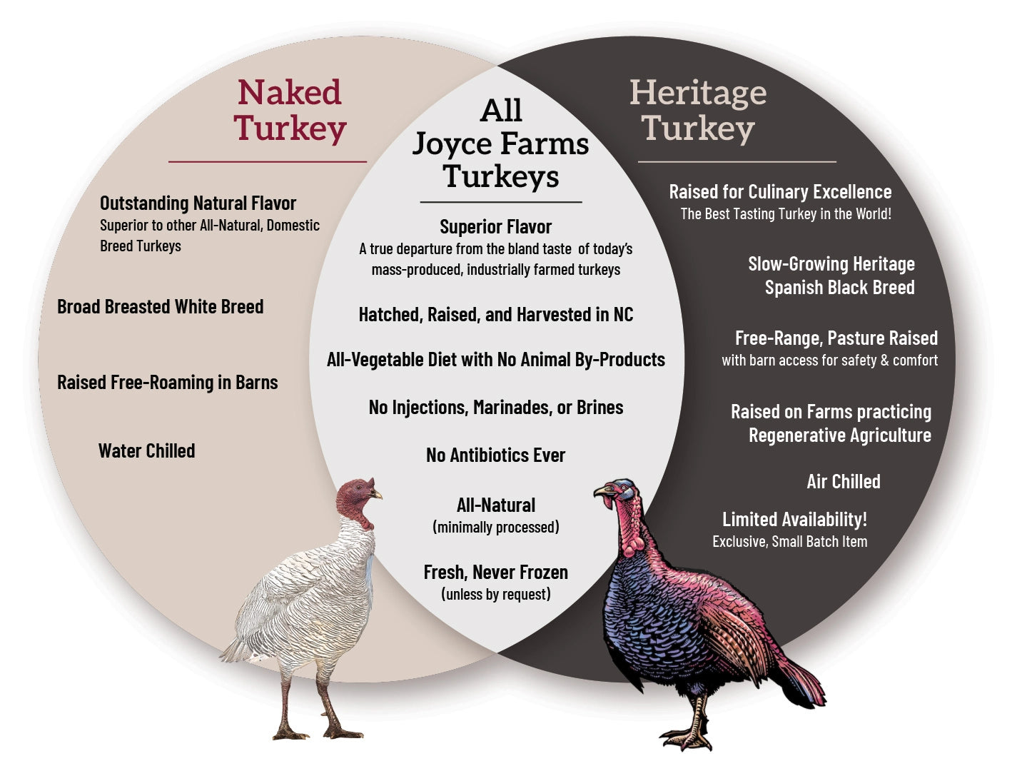 Comparison chart of Joyce Farms’ Naked Turkey and Heritage Turkey, highlighting key differences in flavor, breed, raising practices, and processing methods, with detailed information on superior flavor, antibiotic-free practices, and farm-to-table excellence.