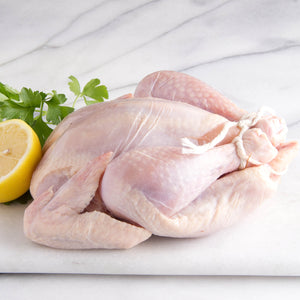 Poussin Rouge Whole Young Heritage Chickens (8 Birds, 12-16 oz. each)